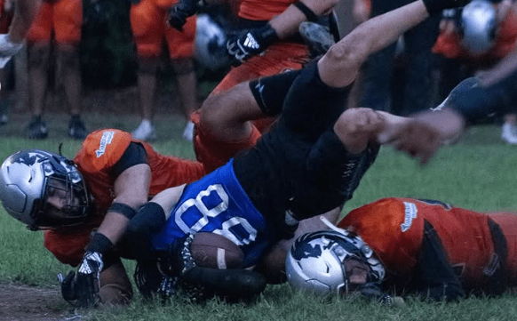 halcones leones cancun