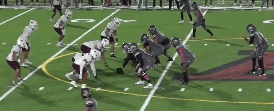 Leones vs Burros Blancos