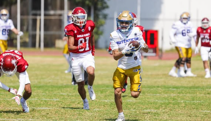 Aguilas Blancas vs Autenticos Tigres
