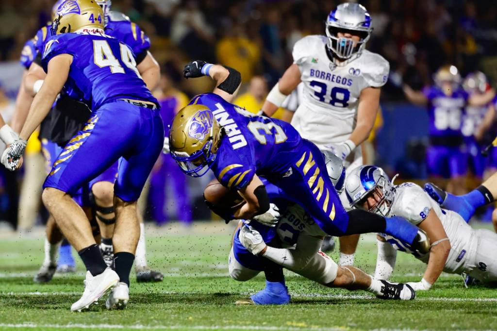 Auténticos Tigres vs Borregos CCM
