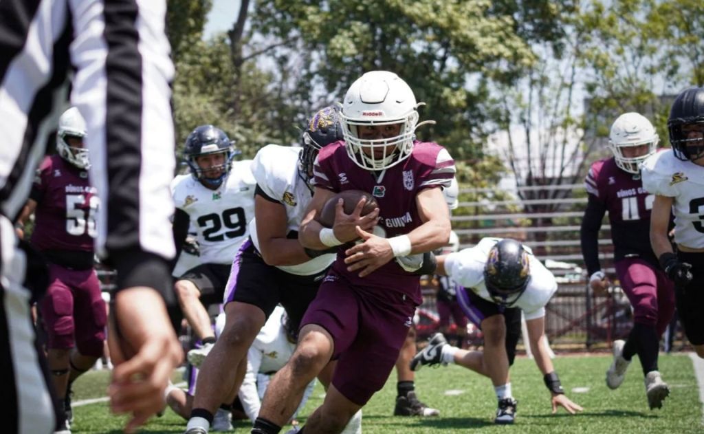 Búhos Guinda vs Lagartos