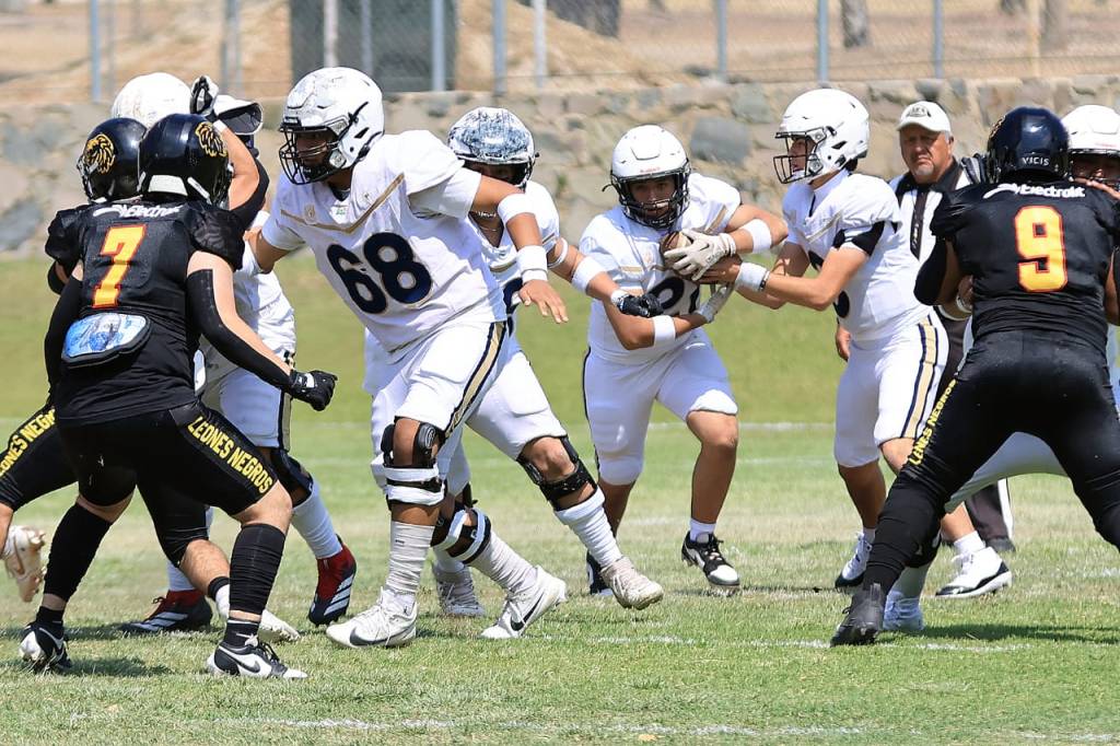 Leones Negros vs Pumas Acatlan