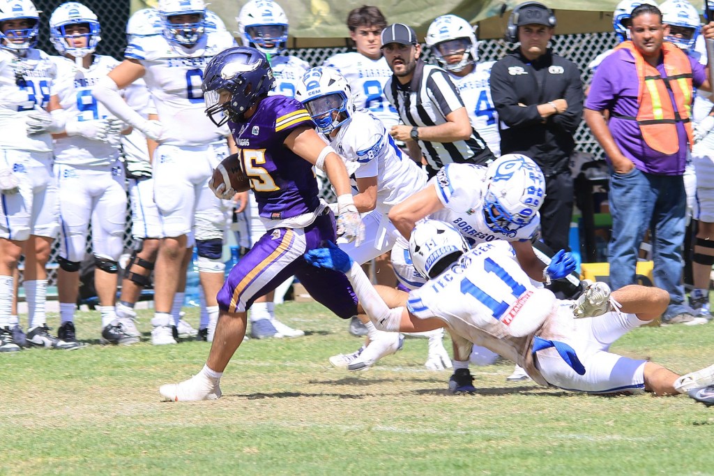 Vikingos vs Borregos CEM