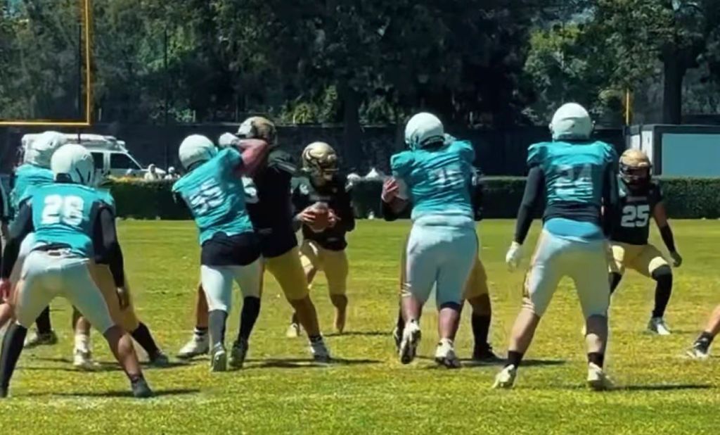Bufalos vs Buhos