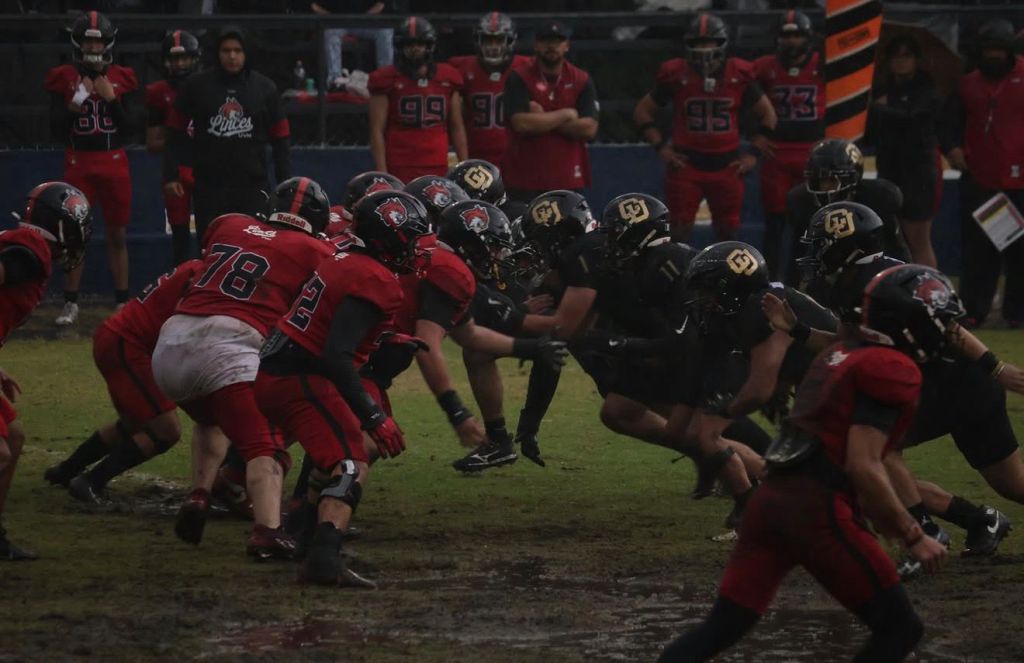 Tigres cu vs Linces