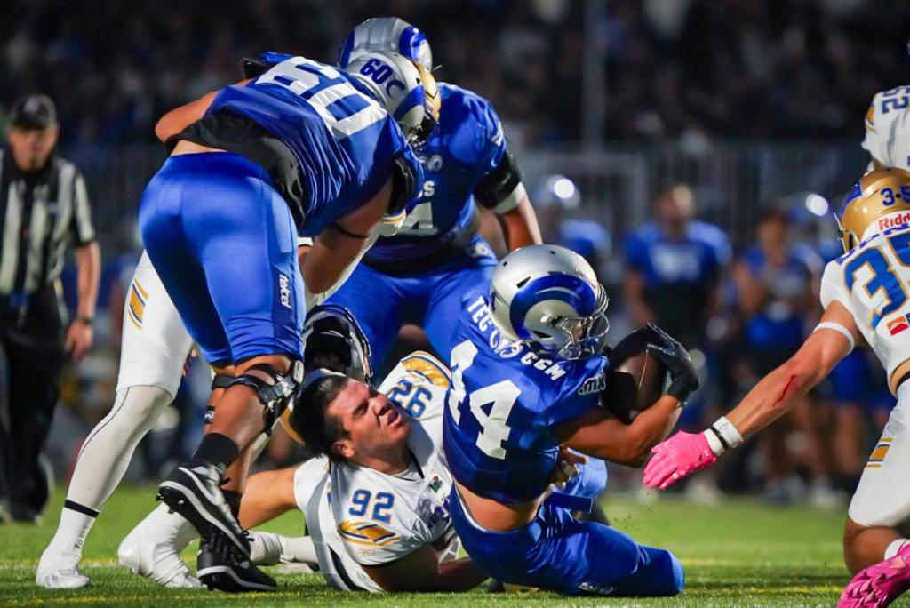 Autenticos VS CEM
