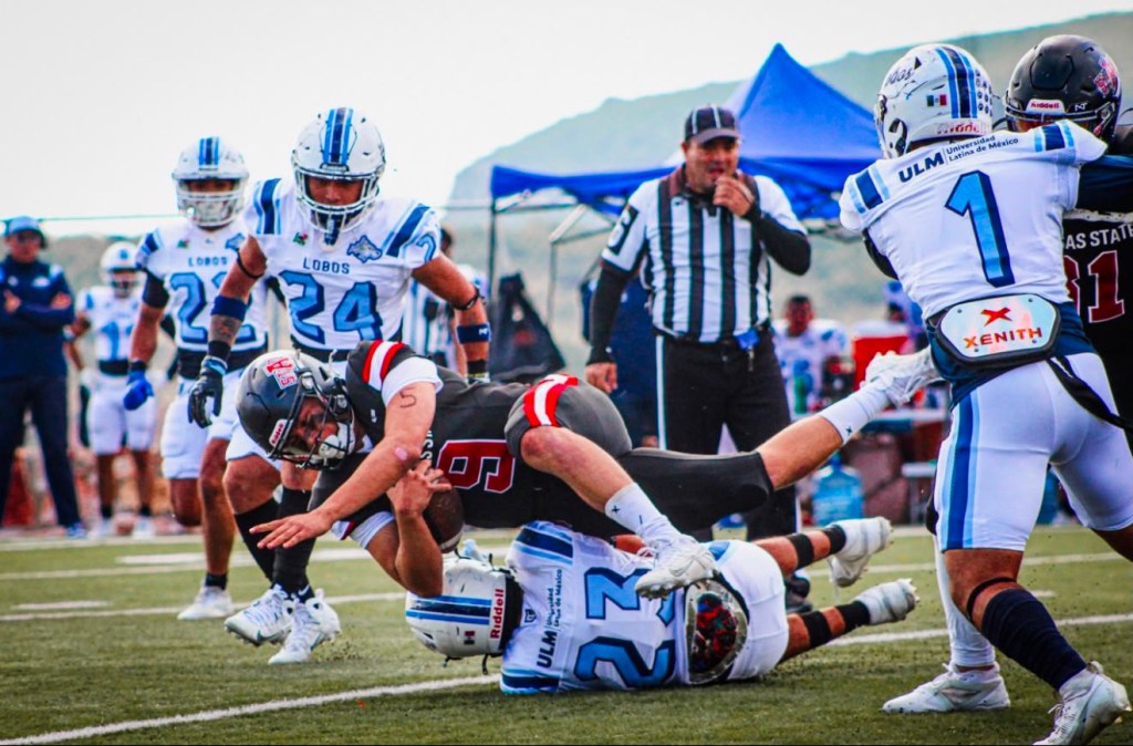 Red Wolves vs Lobos