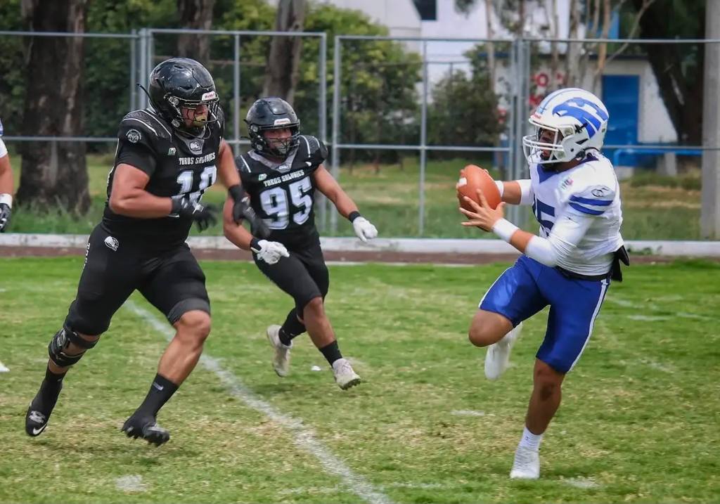 Toros salvajes vs Halcones